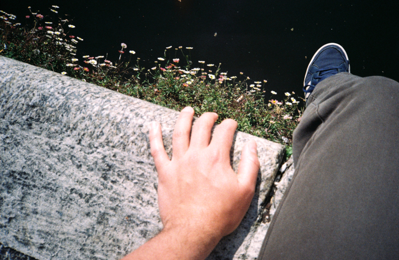 Legs over harbour with daisies growing out if the edge.